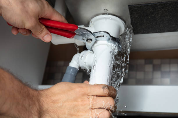 Best 24/7 water damage repair  in Princevle, IL