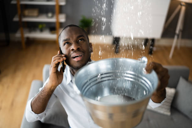 Best Commercial water damage restoration  in Princevle, IL