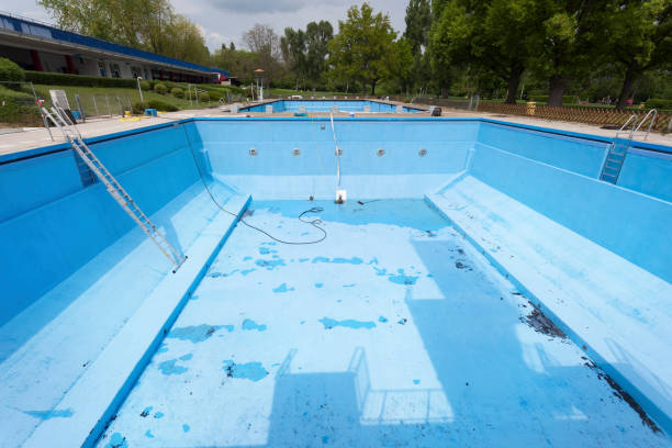 Best Water damage contractors near me  in Princevle, IL