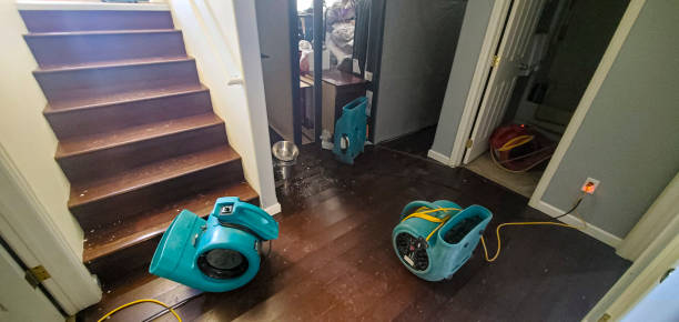 Best Sewage cleanup and water damage restoration  in Princevle, IL