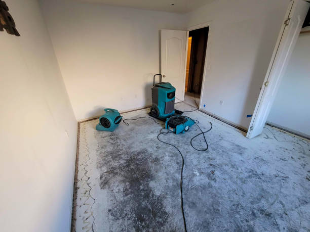 Best Professional water damage repair  in Princevle, IL
