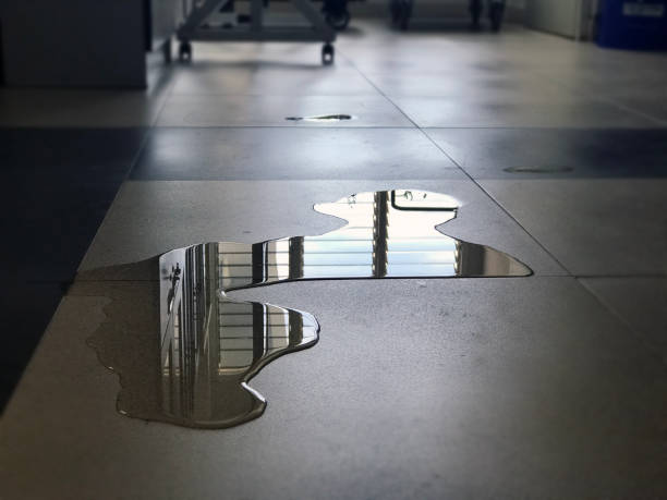 Best Professional water damage repair  in Princevle, IL