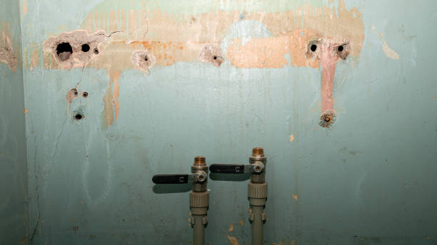 Best Emergency water extraction  in Princevle, IL